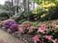 Breeholds Gardens - Mount Wilson Image -645068c0b42d7